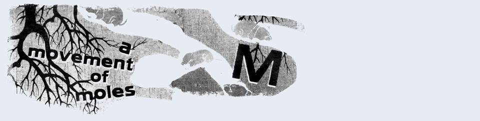 Barbara Umrath: Autoritärer Charakter und Geschlechterverhältnisse